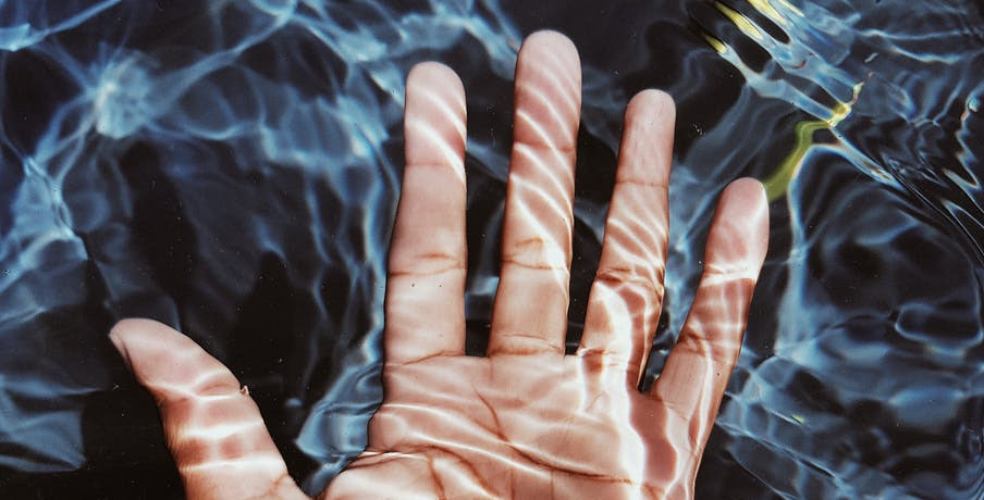 photo of person s hand submerged in water